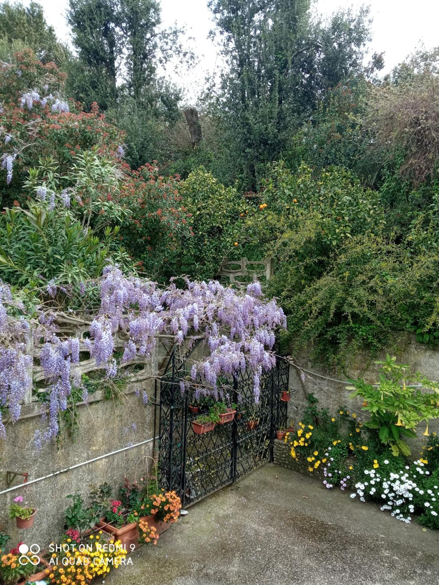 Belvedere Di Caiazzo ภายนอก รูปภาพ