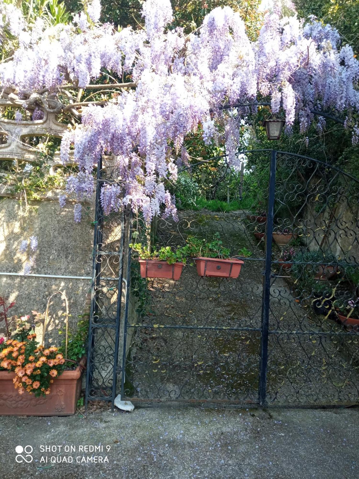 Belvedere Di Caiazzo ภายนอก รูปภาพ