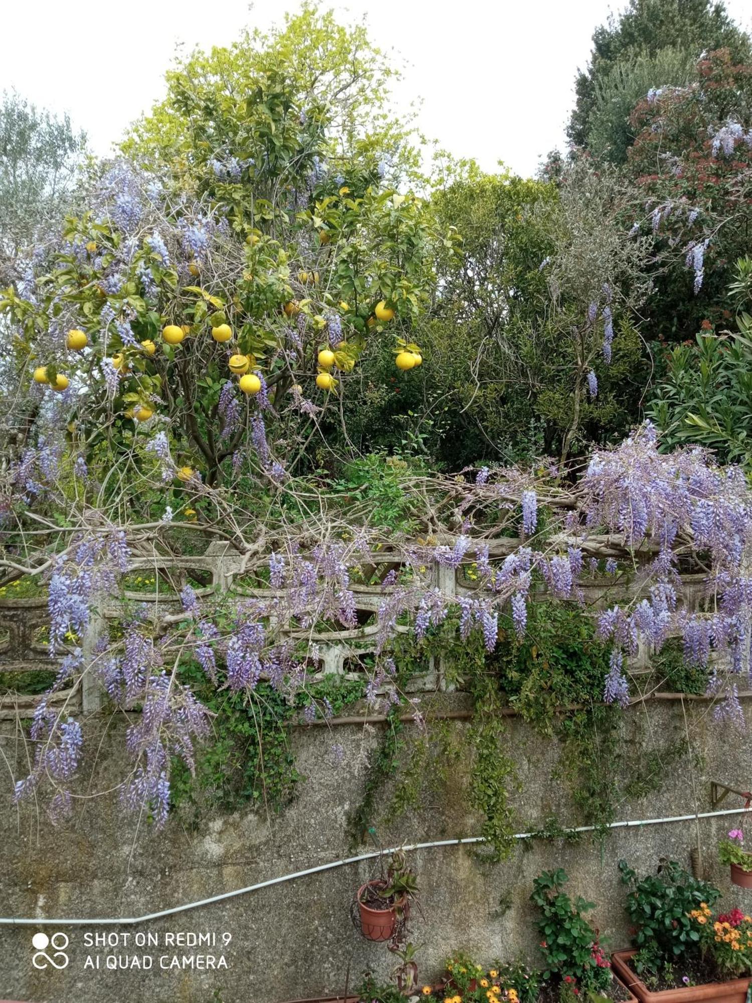 Belvedere Di Caiazzo ภายนอก รูปภาพ